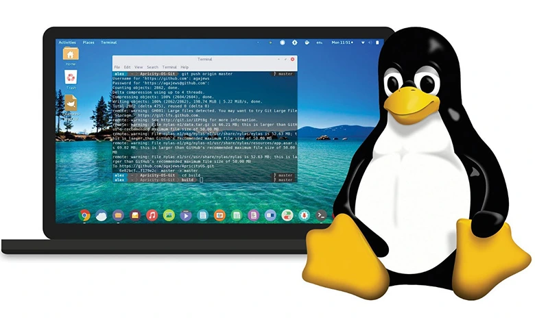 how to install linux picture